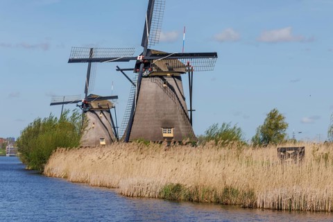 Two windmills on a river bank with reeds and blue sky, many historic windmills on a river in the