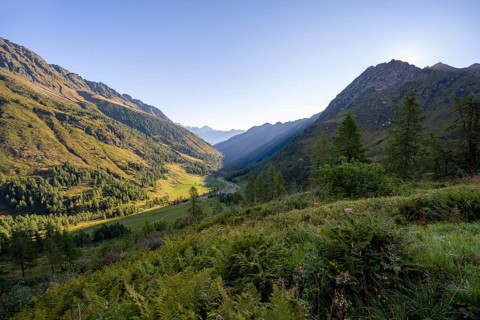 View of the Frohntal valley in the first morning light, mountain landscape with green mountain