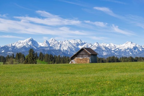 Wooden hut in a meadow near Fuessen, woodpile, Allgaeu Alps, snow, near Buching, Allgaeu, Bavaria,