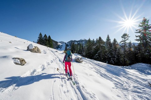 Ski tourer on the ascent to the Aiplspitz, Sonnenstern, Mangfall mountains, Bavarian Prealps,