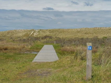 A wooden walkway leads into a dune landscape, next to it a post with a blue sign under a cloudy