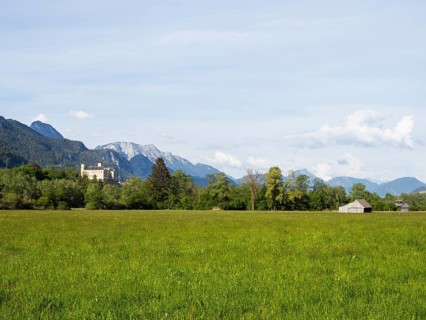 Evening light, meadow with hay barn, Trautenfels Castle, near Irdning, Enns Valley, Styria