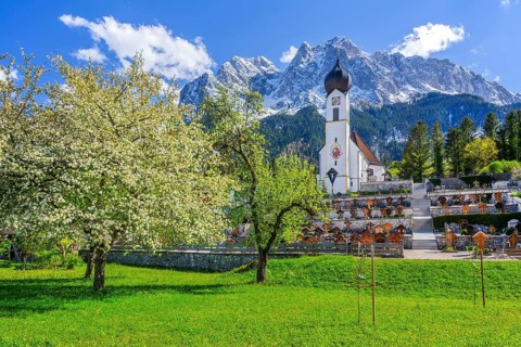 Spring meadow with blossoming trees and parish church in front of the Grosser Waxenstein 2277m in