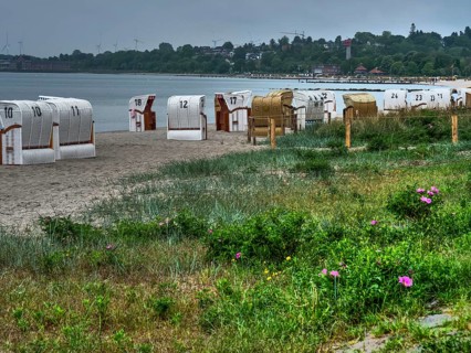 Row of beach chairs on a sandy beach along the coast with dense vegetation in the foreground and