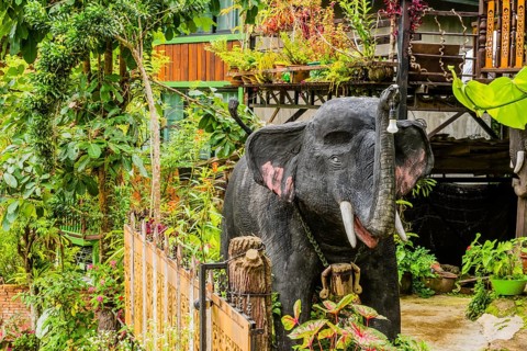 Statue of gray elephant with light blub hanging from trunk standing in front of homestay facility