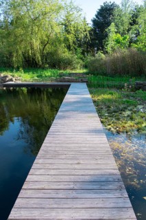 Footbridge at the pond in the natural garden, practical nature conservation, biotope for insects,