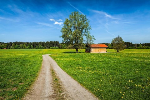 Rural road in summer meadow with wooden shed. Bavaria, Germany, Europe