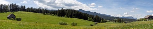Hay barn in a green meadow, panoramic view, near Bad Mitterndorf, Styria, Austria, Europe