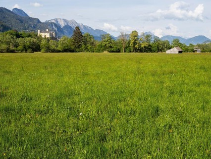 Evening light, meadow with hay barn, Trautenfels Castle, near Irdning, Enns Valley, Styria