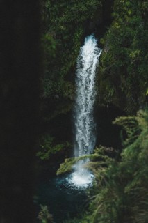 Omanawa Falls waterfall near Tauranga, New Zealand. Tropical nature surrounds the waterfall