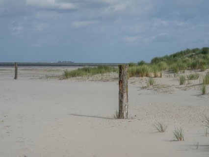 Beach with grassy dunes and old wooden posts under a cloudy sky, lonely beach with dune grass in