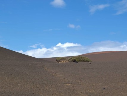 A desert-like area with hills, plants and cloudy skies, barren landscape with roads, craters and