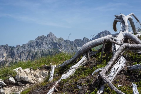 Mountain panorama from the Krinnenspitze, 2000m, behind Friedberger Klettersteig, Rote Flueh,