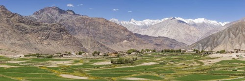 Khardung, Nubra Valley, Ladakh, Jammu and Kashmir, Indian Himalayas, North India, India, Asia