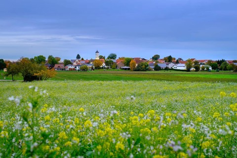 Goldburghausen, Ries, Noerdlinger Ries, Ostalbkreis, Baden-Wuerttemberg, Germany, Europe