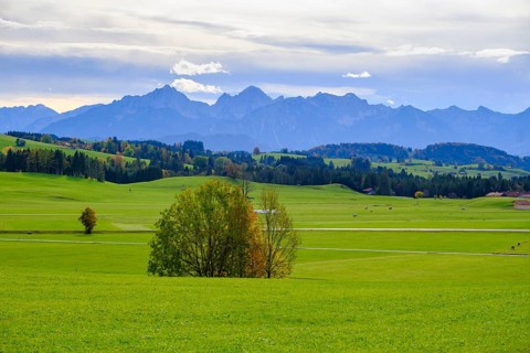 At the Egg viewpoint, in the background Ammergau and Allgaeu Alps, Steingaden, Upper Bavaria.