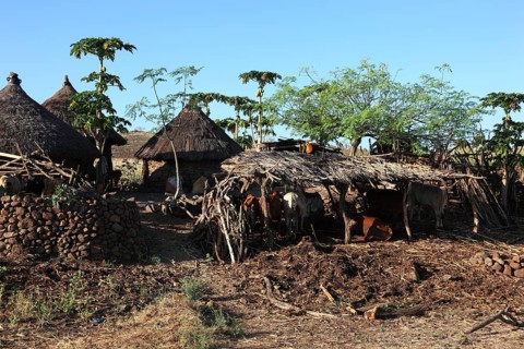 South Ethiopia, a village of the Konso people, Ethiopia, Africa