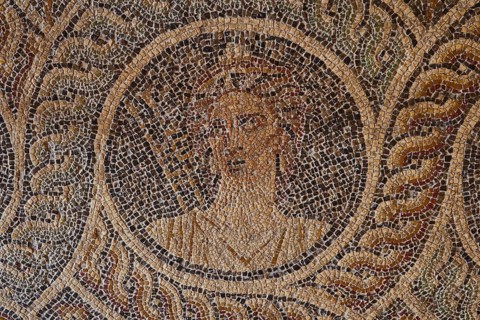 Euterpe, the delightful muse with the double flute, the muse of music, One of the nine muses,