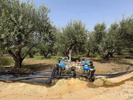 Irrigation irrigation distributor irrigation system water supply with high water consumption of for