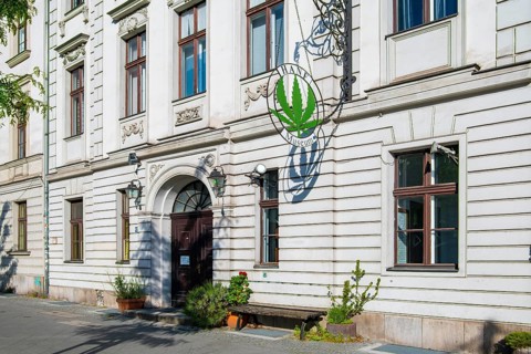 Hemp museum, hemp museum, weed, marijuana, Nikolaiviertel quarter, Alexanderplatz, Berlin, Germany,