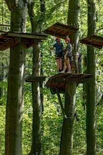 Group of young woman, girls climbing in the climbing forest, platforms, ropes, rope ladders, beech