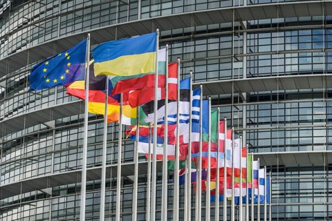 Flags, European Parliament, 1 All. du Printemps, Strasbourg, Departement Bas-Rhin, France, Europe