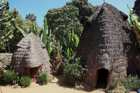 South Ethiopia, among the Dorze people, typical hut, house, Ethiopia, Africa