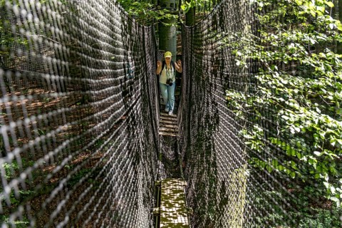 Sporty woman, tourist with camera in treetop path, suspension bridges, ropes, nets, beech forest,