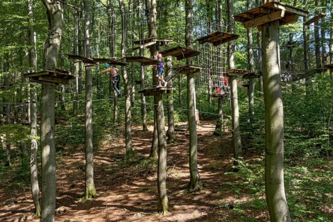 Woman and boy climbing in the climbing forest, platforms, ropes, rope ladders, suspension bridges,