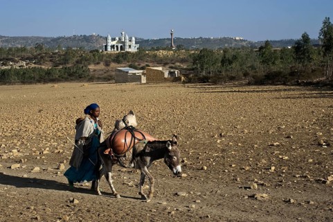 Tigray woman coming back from the market, Mekele, Tigray state, Ethiopia. She is walking in a