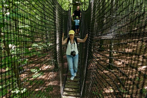 Sporty woman, tourist with camera in treetop path, suspension bridges, ropes, nets, beech forest,