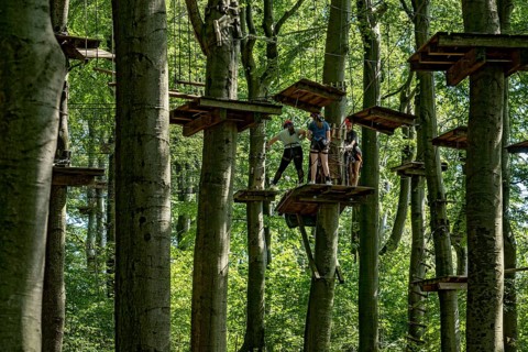 Group of young woman, girls climbing in the climbing forest, platforms, ropes, rope ladders, beech
