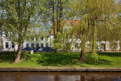 Trees at the Mittelburggraben in Friedrichstadt, district of Nordfriesland, Schleswig-Holstein,