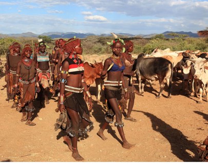 South Ethiopia, Omo region, among the tribe of the Hamar, Hamer, Hamma, Hammer, Amar or Amer, bulls