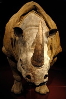 Costume for rhinoceros in a theatre play 2007 at the Victoria & Albert Museum, 1-5 Exhibition Rd,