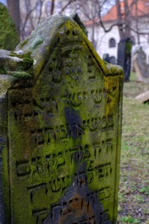 Gravestones, old Jewish cemetery, Jewish Museum, Josefstadt, Jewish Quarter, Prague, Bohemia, Czech