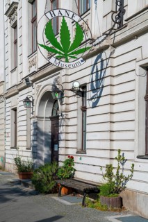 Hemp museum, hemp museum, weed, marijuana, Nikolaiviertel quarter, Alexanderplatz, Berlin, Germany,