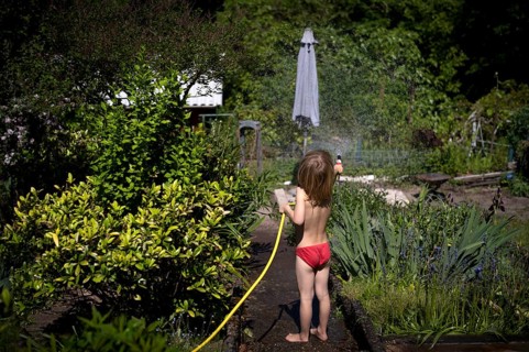 Boy, 5 years, blond, swimming trunks, watering flowers, spraying with garden hose, garden, summer,