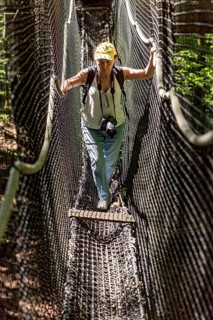 Sporty woman, tourist with camera in treetop path, suspension bridges, ropes, nets, beech forest,