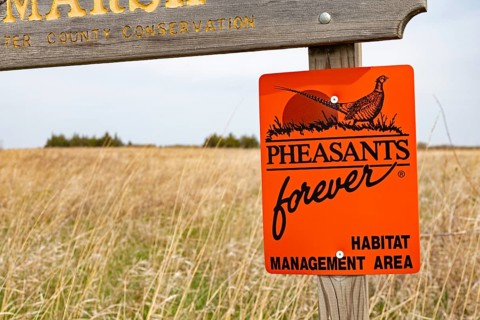Fort Dodge, Iowa, Whispering Wings Marsh, a wetlands habitat conservation area where pheasants and