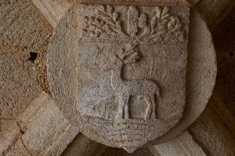 Worn stone relief of a stag under a tree in a niche, Grand Master's Palace, Knights' Town, Rhodes