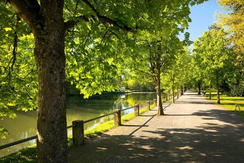 Castle Park, Bueckeburg Castle, ancestral seat of the House of Schaumburg-Lippe, Bueckeburg, Lower