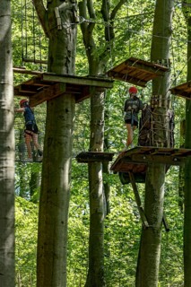 Group of young woman, girls climbing in the climbing forest, platforms, ropes, rope ladders, beech
