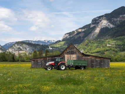 Meadow with tall buttercups (Ranunculus acris), greater buttercup, common buttercup, behind hay