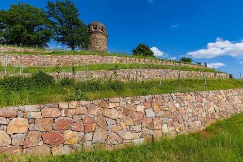 Winery at the Goldener Wagen. The Bismarck Tower in Radebeul, also known as the Bismarck Column, is