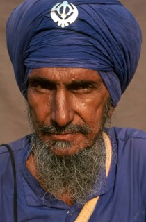 Portrait of a sikh man, man from the Nihang order, the sikh warrior order, India, Asia