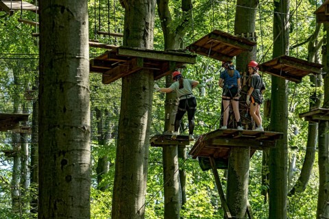 Group of young woman, girls climbing in the climbing forest, platforms, ropes, rope ladders, beech