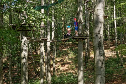 Woman and boy climbing in the climbing forest, platforms, ropes, rope ladders, suspension bridges,