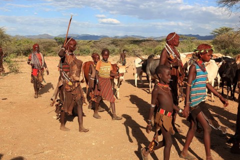 South Ethiopia, Omo region, among the tribe of the Hamar, Hamer, Hamma, Hammer, Amar or Amer, bulls