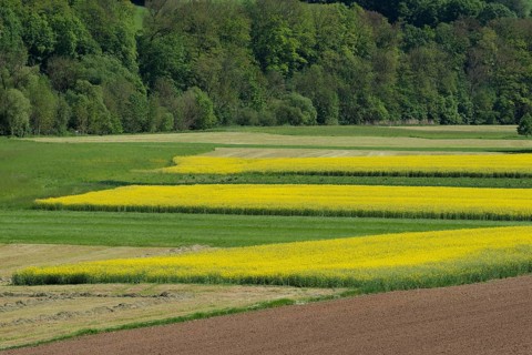 Middle Jagst valley in spring, May, river valley, river, Jagst, Baechlingen,